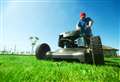 ‘Put mower away to boost plants and insects’